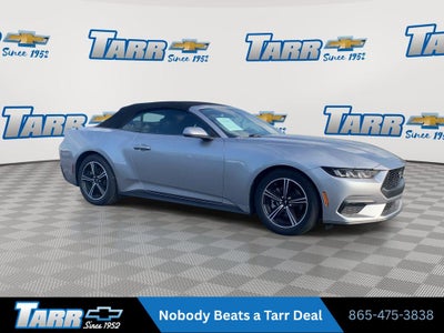 2025 Ford Mustang EcoBoost