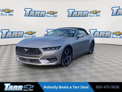 2025 Ford Mustang EcoBoost