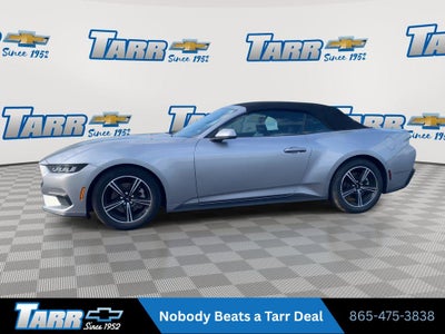 2025 Ford Mustang EcoBoost