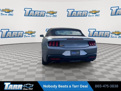 2025 Ford Mustang EcoBoost