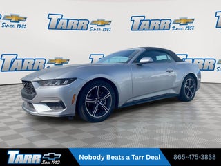 2025 Ford Mustang EcoBoost