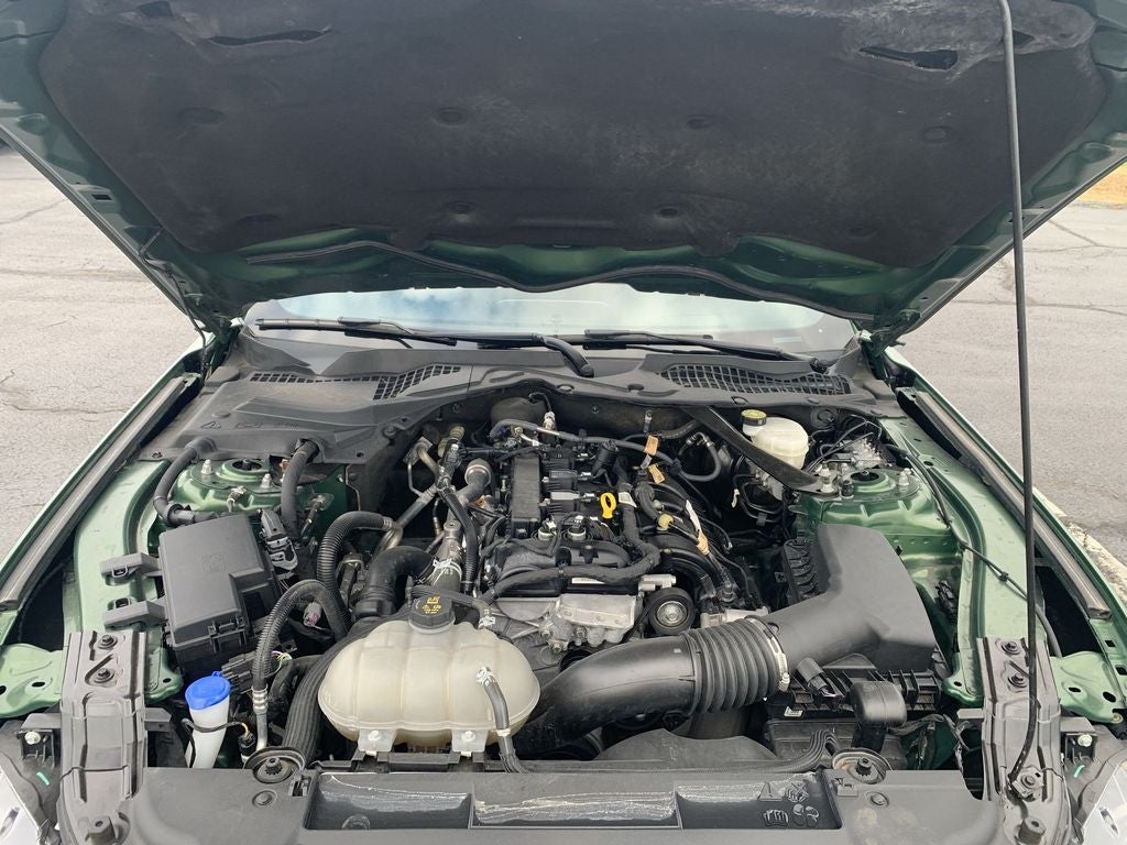 2023 Ford Mustang EcoBoost