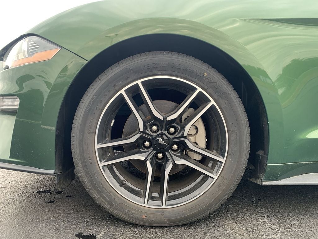 2023 Ford Mustang EcoBoost