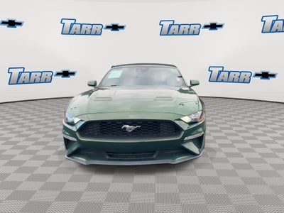 2023 Ford Mustang EcoBoost