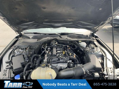 2022 Ford Mustang EcoBoost