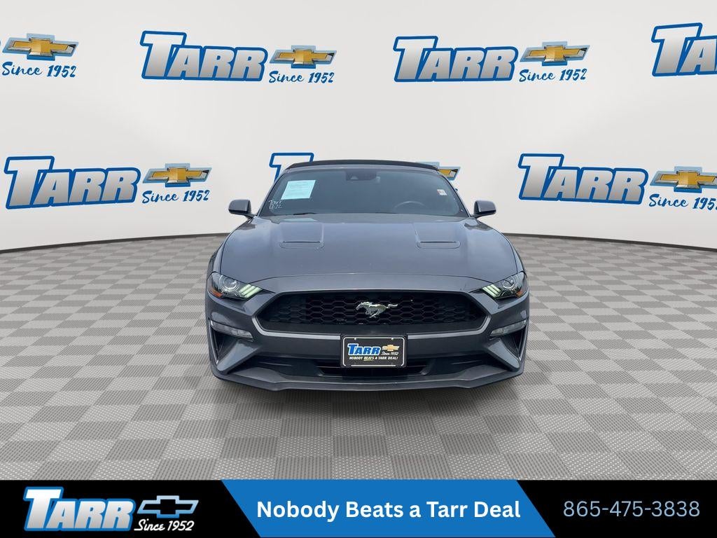 2022 Ford Mustang EcoBoost