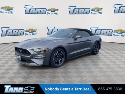 2022 Ford Mustang EcoBoost