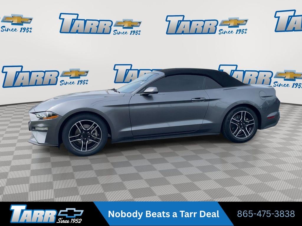 2022 Ford Mustang EcoBoost