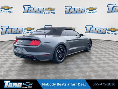 2022 Ford Mustang EcoBoost