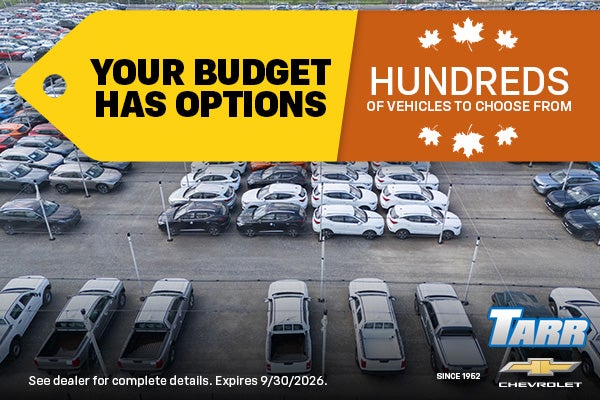 Hundreds of vehicles to choose from
