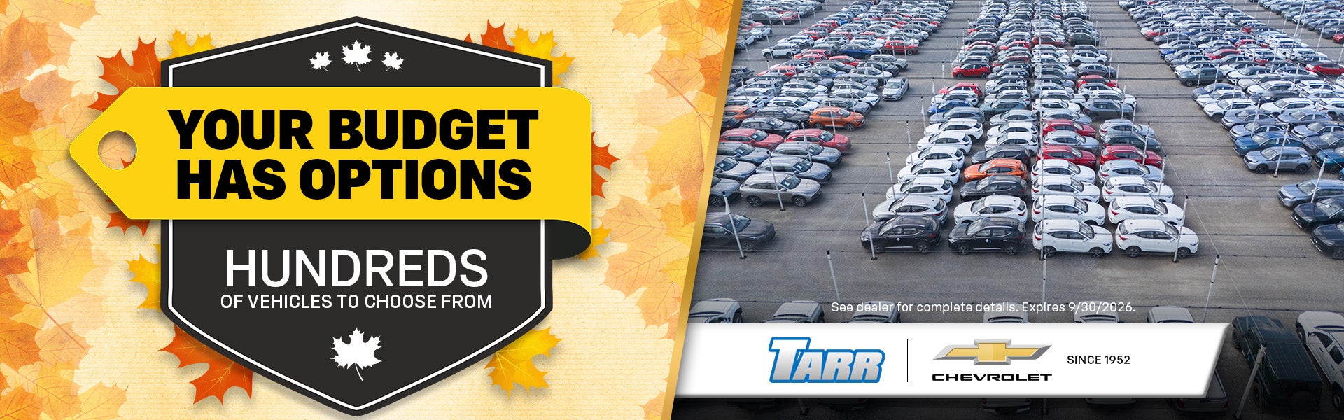 Hundreds of vehicles to choose from